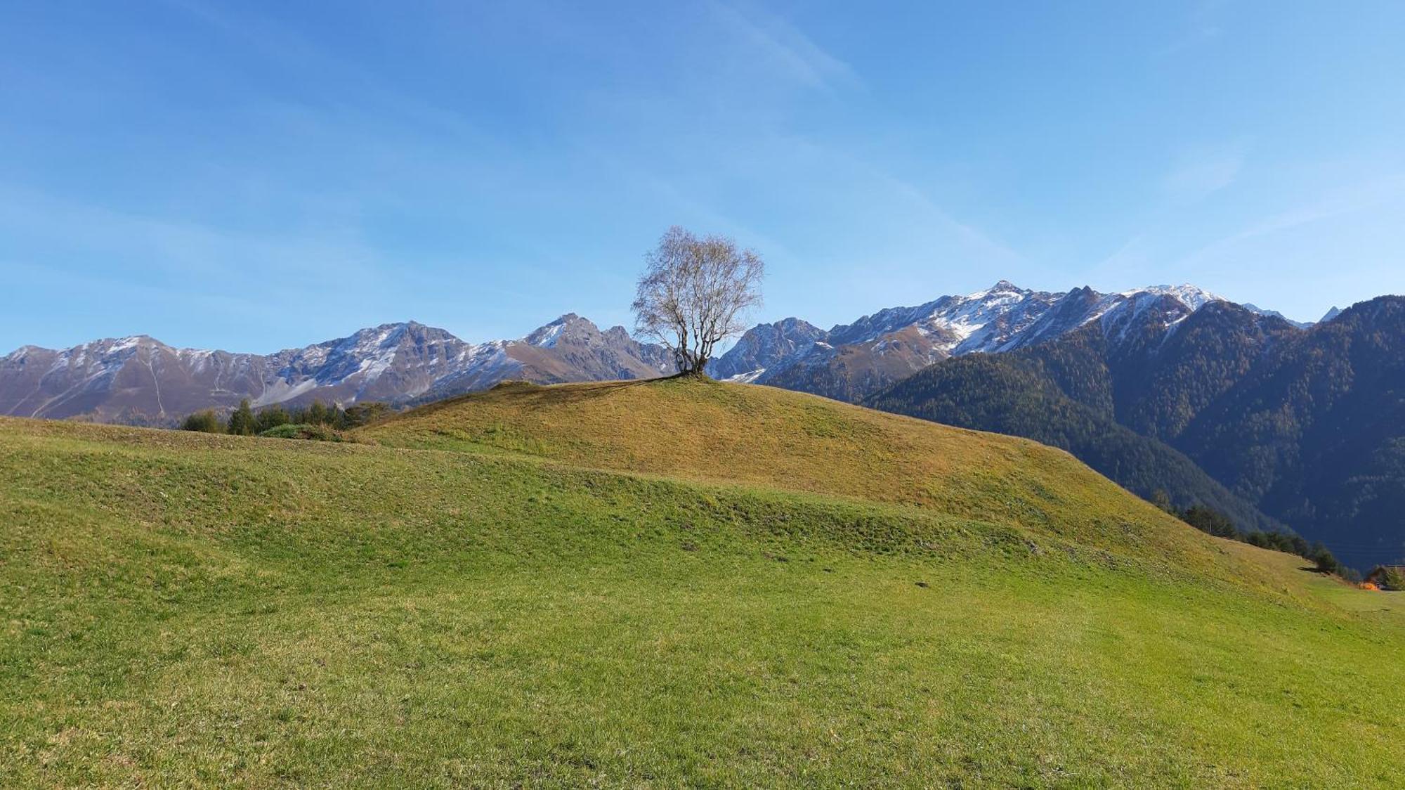 Larchenhof แซร์เฟาส์ ภายนอก รูปภาพ